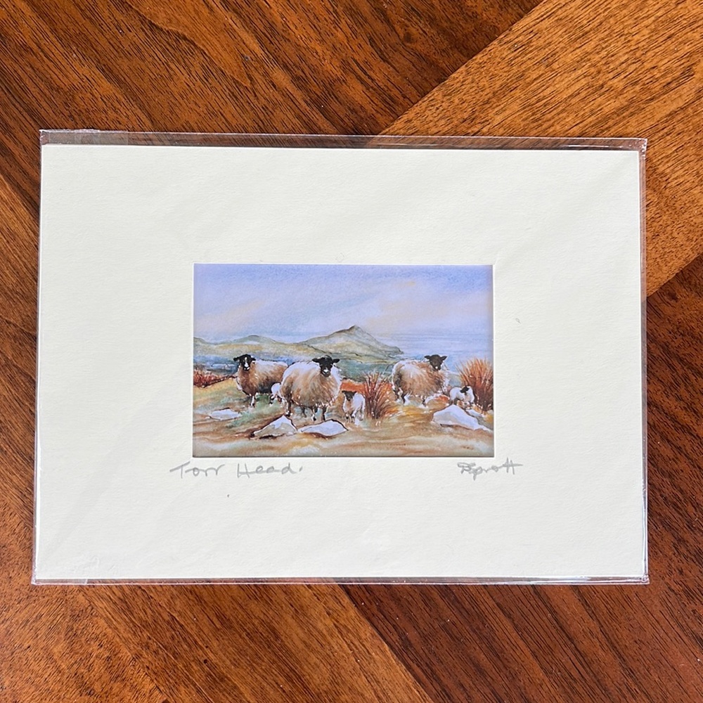 BEAUTIFUL NORTHERN IRELAND FRAMABLE DRAWING - SHEEP IN TORR HEAD - WITH MAT!